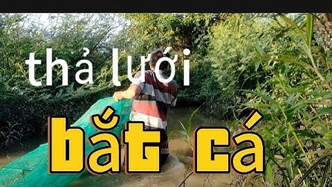 Thả lưới đánh bắt cá cuộc sống mưu sinh của nông dân quê hương Sinh tồn Đồng quê