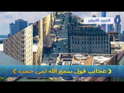 عجائب قول سمع الله لمن حمده الشيخ محمد بن علي الشنقيطي عجائب قول سمع الله لمن حمده الشيخ محمد بن علي الشنقيطي