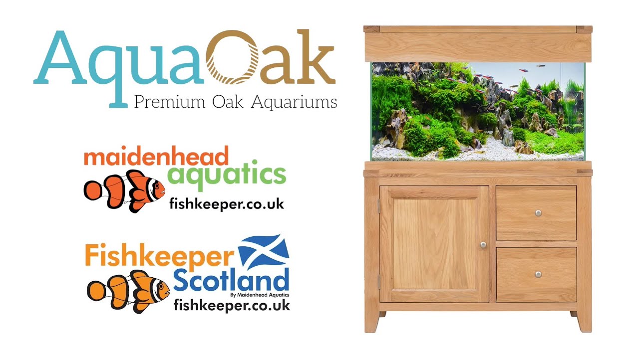 水槽 oak Aqua Oak Aquariums - YouTube