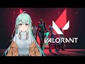 【VALORANT】昼活VALO部