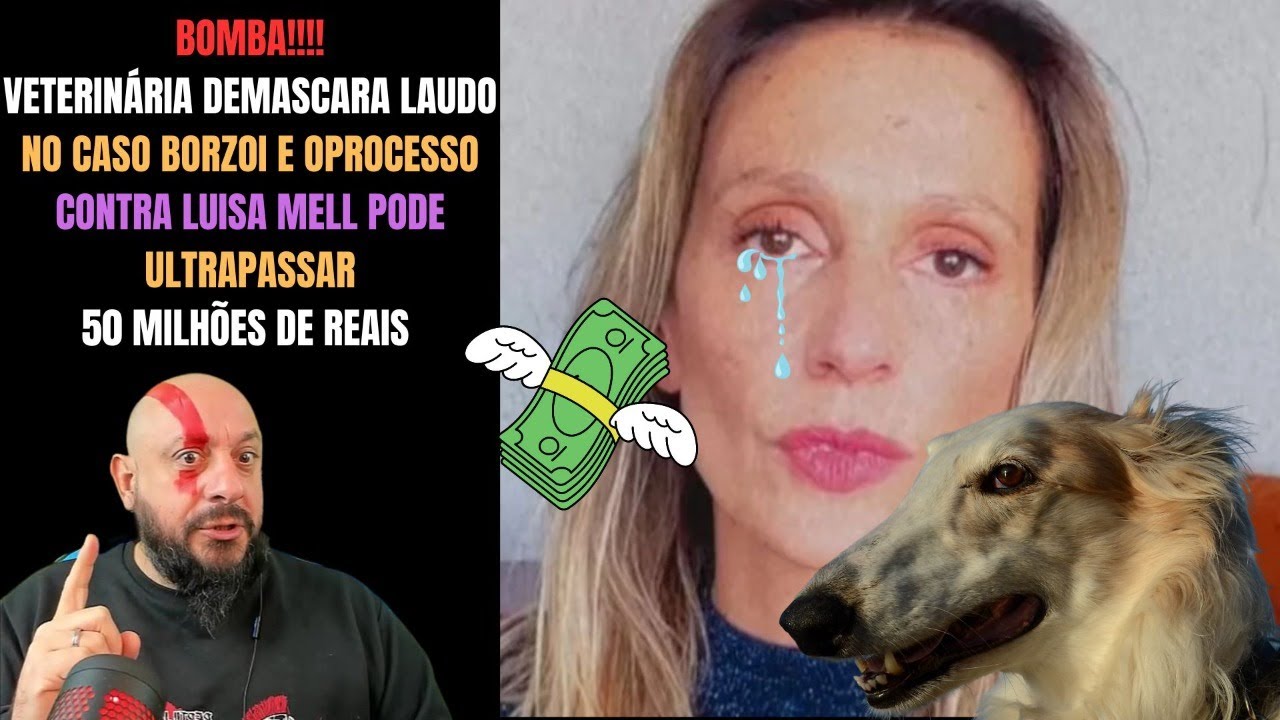 Luisa Mell é processada e acusada de  invadir propriedade, roubar cadela de autista