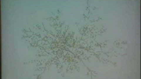 Computational Social Science and the Rise of Social Science Data Complexity I