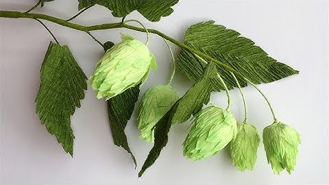 ABC TV | How To Make Hops Paper Flower From Crepe Paper - Craft Tutorial