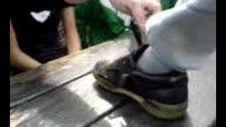 Stacey Licking My Shoe