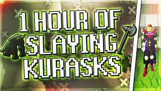 Slaying Kurasks | Testing OSRS Wiki Money Makers | Money Making Guide 2020