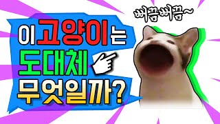 '뻐끔뻐끔 고양이'의 정체?(팝캣, pop cat, 고양이 밈) screenshot 2