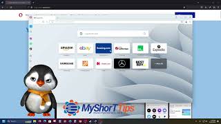Opera Browser Installation on PC Windows FREE 2023 [STEP BY STEP] screenshot 3