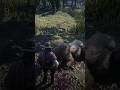 3 important Items Locations in Red Dead Redemption 2