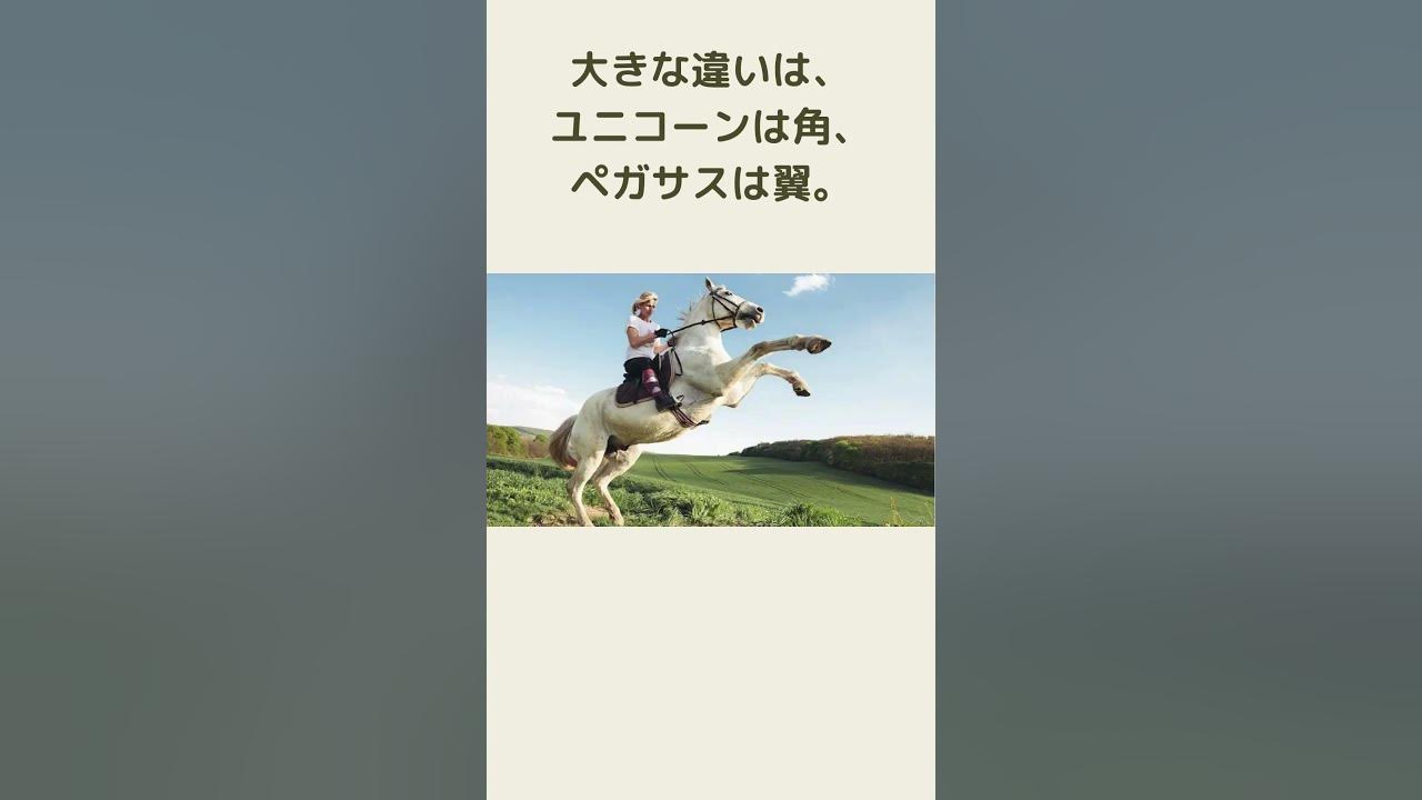 ユニコーンとペガサスの違いとは？ #ペガサス #ユニコーン #雑学 #shorts #馬