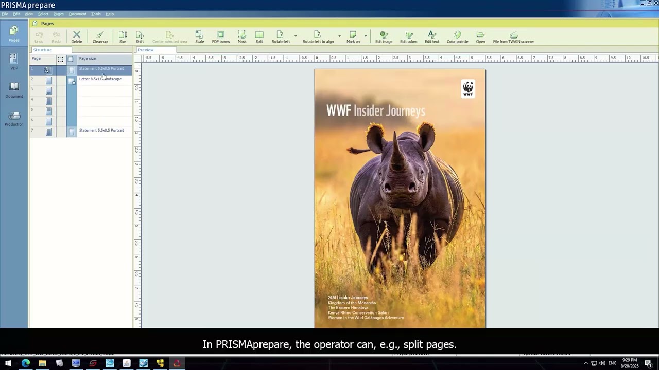 Seamless integration with PRISMAprepare