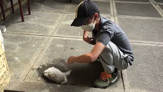 Jak comforting a dying bunny