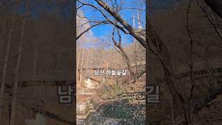 남산하늘숲길 소월정원 영상