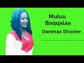 Muluu Baqqalaa Yaa Dammaa Shoole Lyrics Muluu Baqqalaa Yaa Dammaa Shoole Lyrics