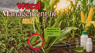 Weed Management in Corn & Fall Armyworm Control: Bayer Solutions for Maximum Protection