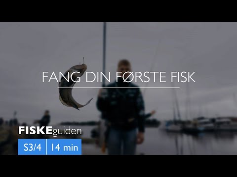 Video: Hvordan Fange Fisk