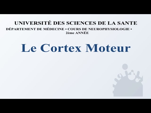 LE CORTEX MOTEUR