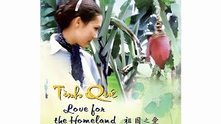 Tình Quê. Love for the Homeland. VCD 802
