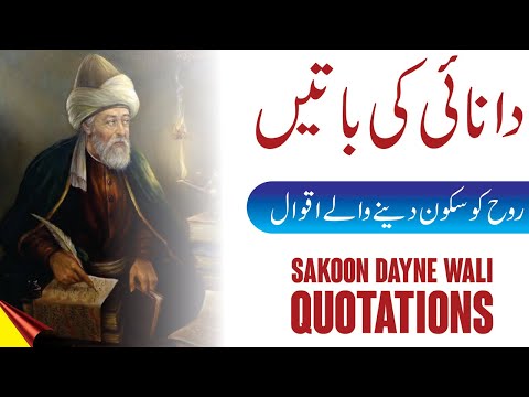 Danai Ki Batein | Urdu Quotes Danai Ki Batein | Dil Ko Sakoon Dayne Wali Batein | #aqwalezareen