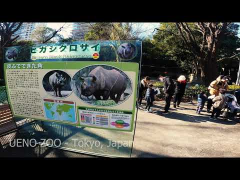 Tokyo Japan - Ueno Zoo 2023