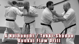 Practical Kata Bunkai: A Naihanchi / Tekki-Shodan Flow Drill screenshot 4