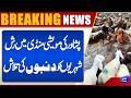 Massive Rush at Peshawar Cattle Market, Buyers Searching for the Perfect Sheep | Dunya News
