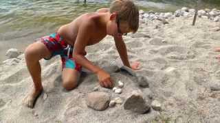 Turtle Eggs on the beach - EGF027