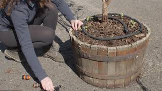 How to Water a Tree With Soaker Hose