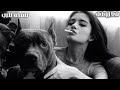 صمخه معزوفه دبكة نار - موسيقى مشهورة 2026 - استكانه ريمكس طربية - مطلوب أكثر شيء 🔥 #remix #اكسبلور