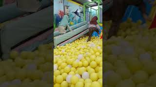 Wahai malam bisikan cerita