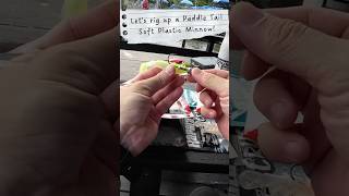 Learn To Rig Up A Soft Plastic Minnow! Full Vid ⬆️! #fishing #fishingtips #sharing #learning #rapala