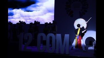 12th session of the Intergovernmental Committee (source)