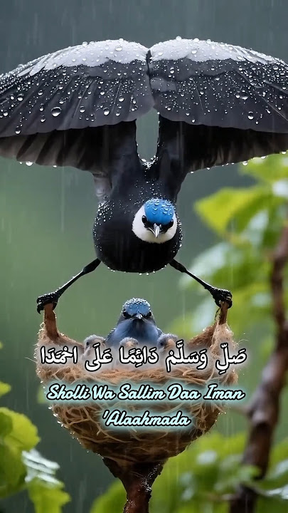 sungguh indah ciptaan mu #sholawat