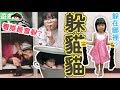 【遊戲】躲貓貓:工作室捉迷藏[NyoNyoTV妞妞TV玩具]