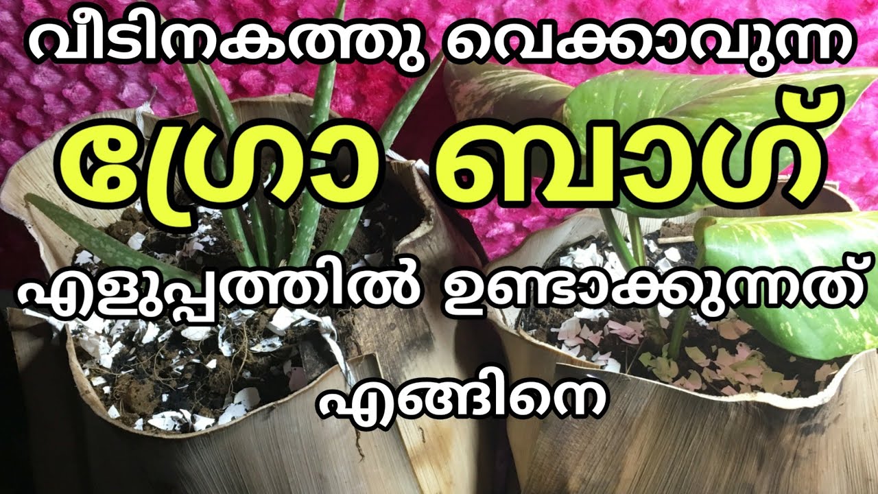 ഇനി വീടിനകത്തും കൃഷി ചെയ്യാം How to make grow bag in malayalam Home