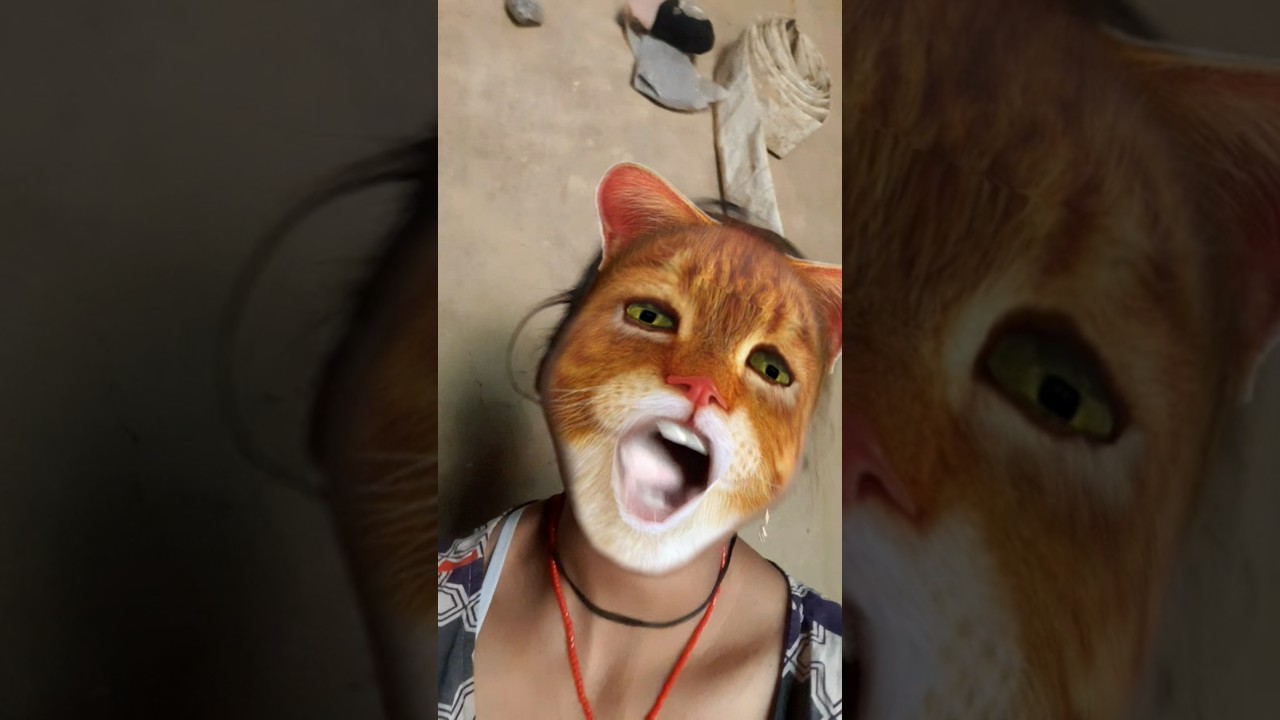 mewww से ❤️❤️