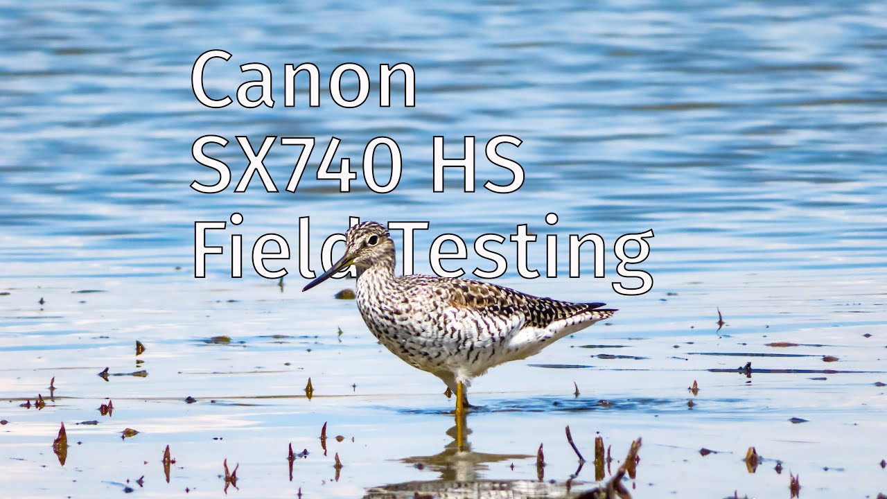 Canon PowerShot SX740 HS Field Testing