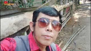 Live..PERUNTUNG HABIH ~ Lagu Daerah Jambi ~ Opinda Music Arr Beny.