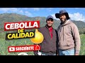 Cebolla Amarilla Bien Manejada: Claves para una Producción Exitosa #sociedaddecrecimiento #cebolla