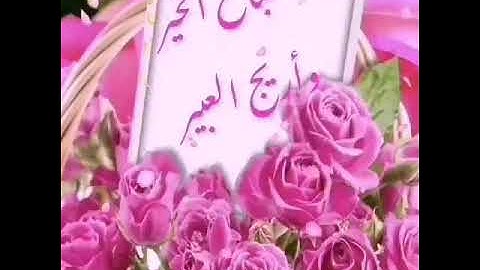 آيات بينات من سورة يوسف ،،،القارئ الشيخ ماهر المعيقلي