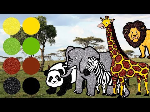 Video: Kāds Dzīvnieks Ir Zebra