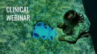 Applications of NIRVANA in the paediatric neuro rehabilitation field: the FLENI Experience