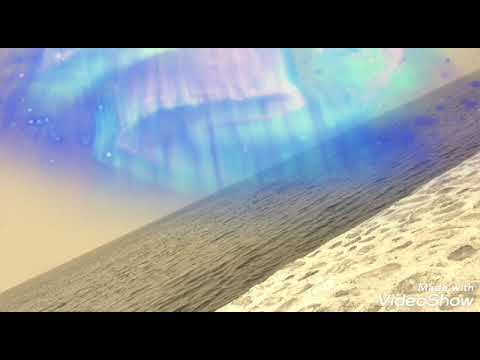 اذلك خير نزلا ام شجرة الزقوم
