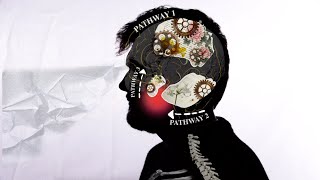 Capgras Syndrome - Experimental Animation @sugarbombpro