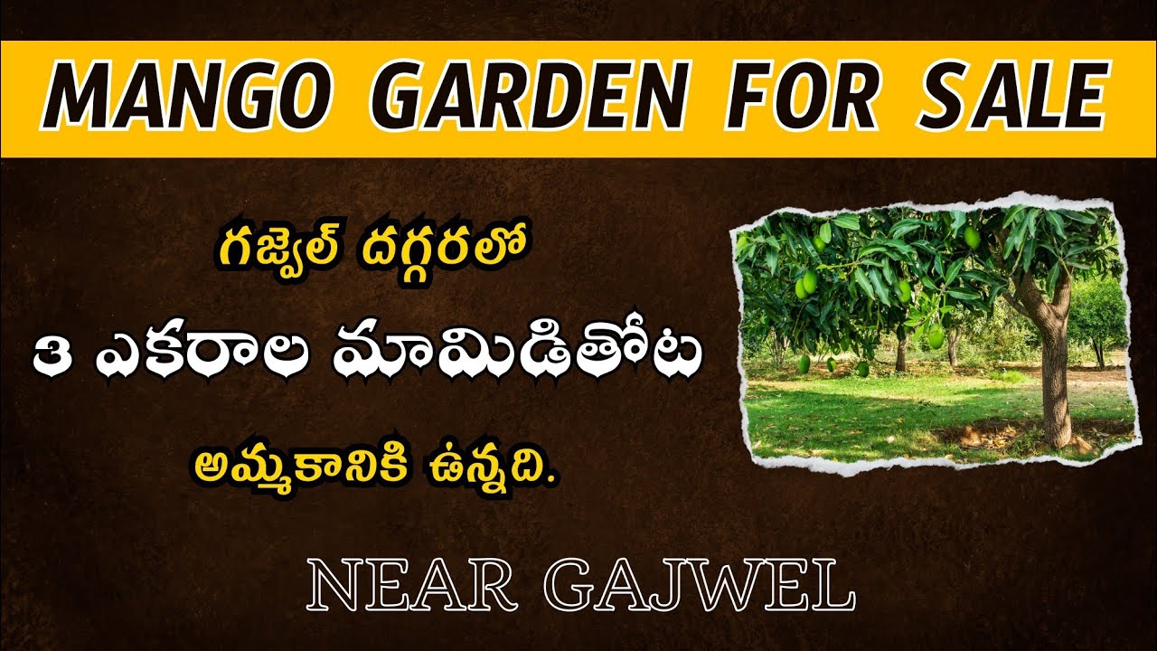 land-for-sale-near-gajwel-varahirelaestates-youtube