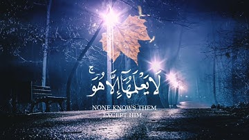 القران الكريم/ارح سمعك واستغفر ربك