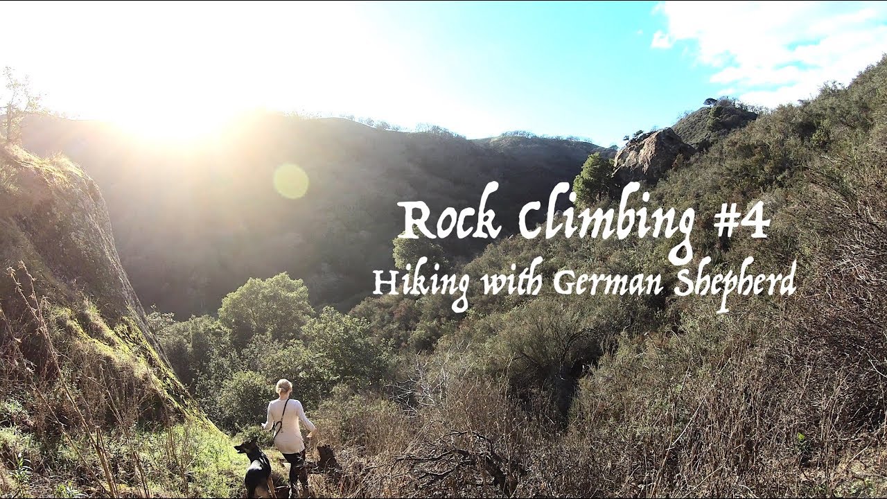 Mountain Climbing with a German Shepherd 4 Rock Climbing Hiking with