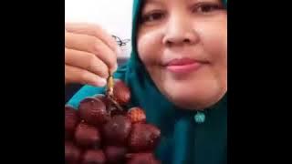 Apa Salahku Apa Dosaku