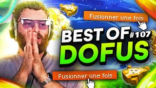 UNE CHANCE SUR 1 MILLION !! 🤩 (Best Of Dofus #107)