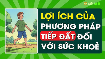📗 Khoa Học Về Việc Đi Chân Trần: Sạc Năng Lượng Tự Nhiên, Xả Stress và Ngủ Ngon Hơn.