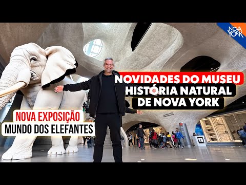 Vídeo: American Museum of Natural History Dicas para visitantes